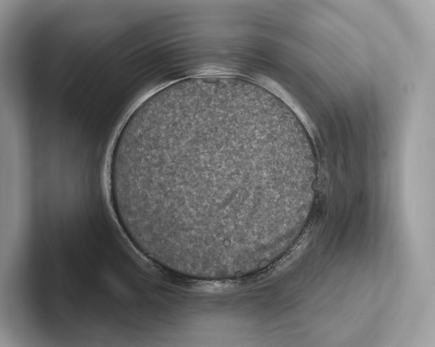 X0000100921195200807221109
