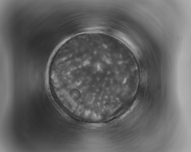 X0000100921196200807221109