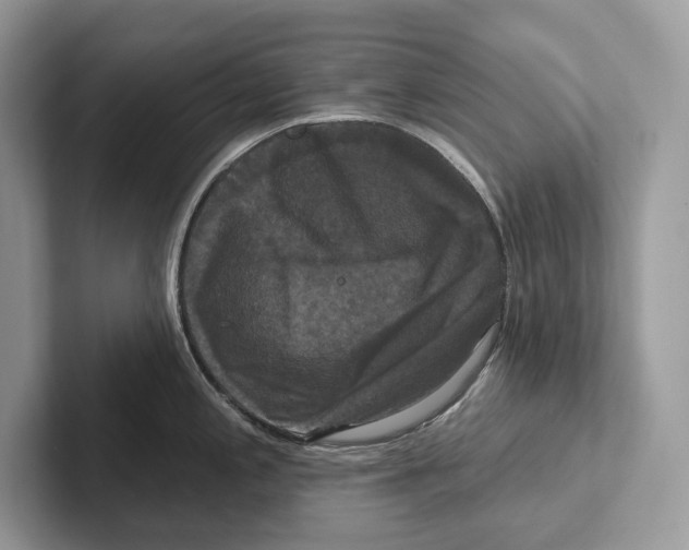 X0000100921197200807221109