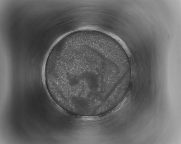X0000100921199200807221109
