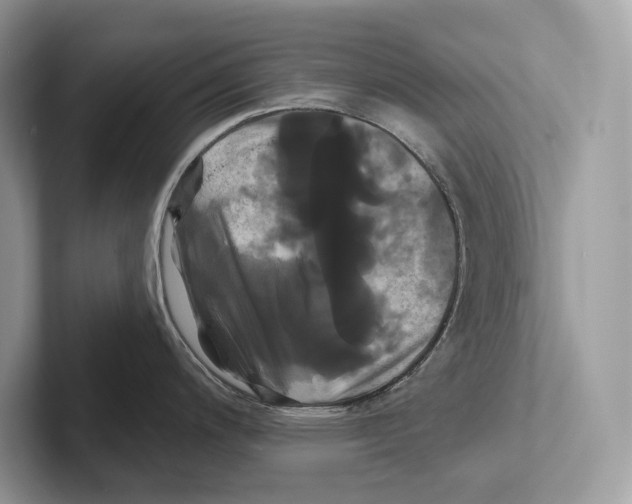 X0000100921200200807221109