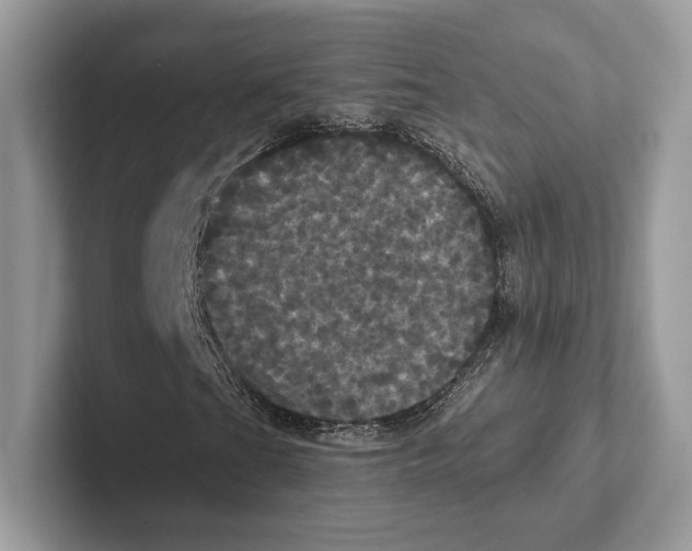 X0000100921201200807221108