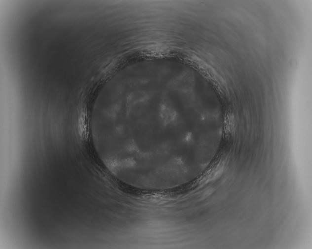 X0000100921202200807221108