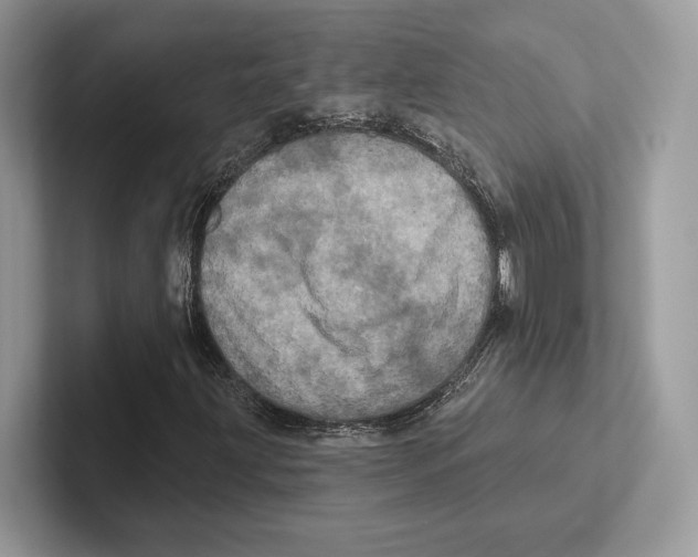 X0000100921203200807221108