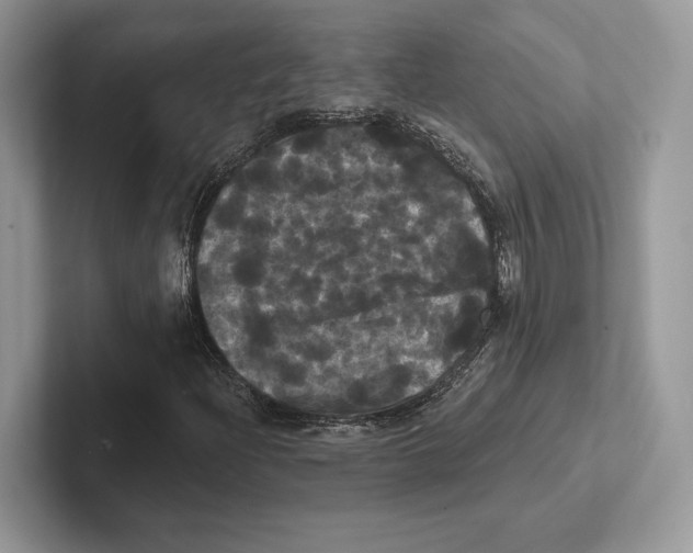 X0000100921204200807221108