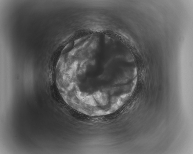 X0000100921205200807221108