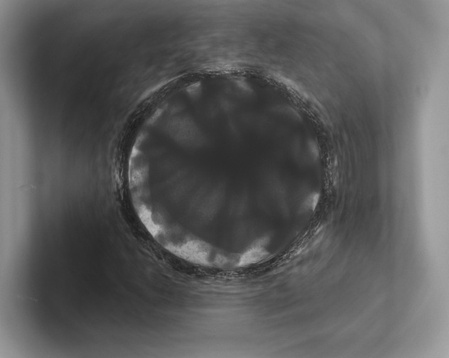 X0000100921206200807221108