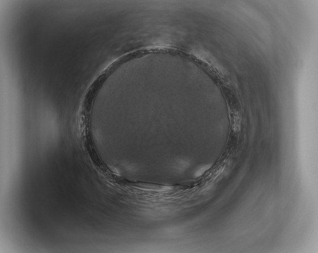 X0000100921208200807221108