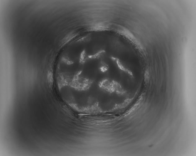 X0000100921209200807221108