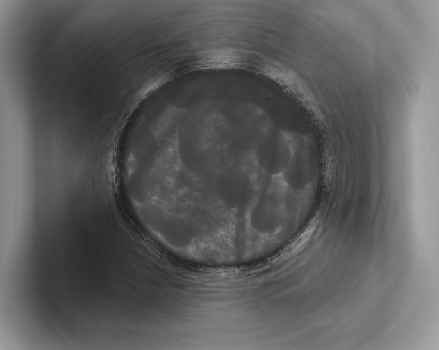 X0000100921210200807221109