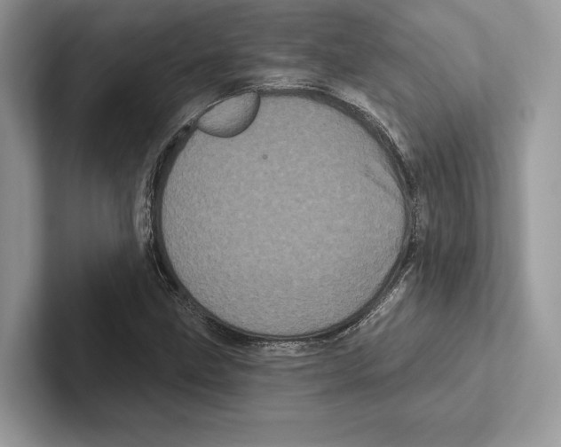 X0000100921211200807221109