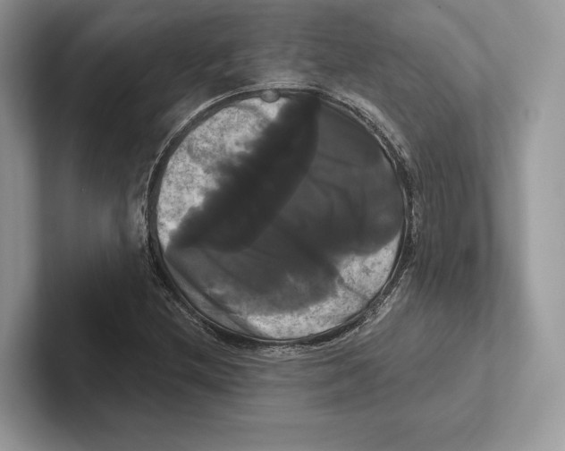 X0000100921212200807221109