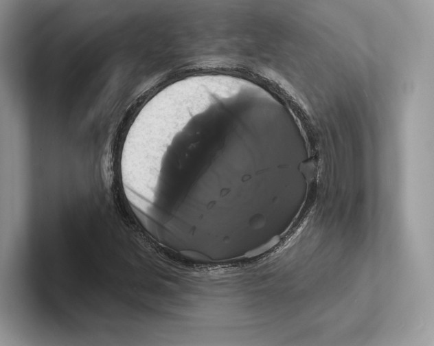 X0000100921213200807221109
