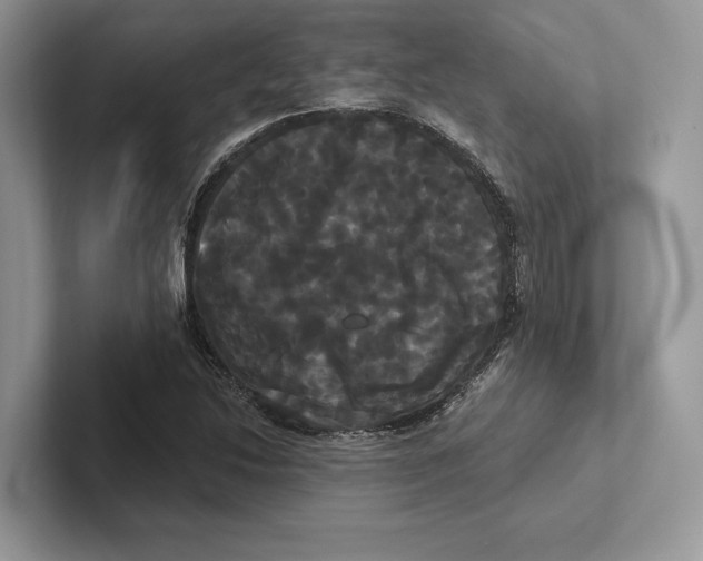 X0000100921214200807221109