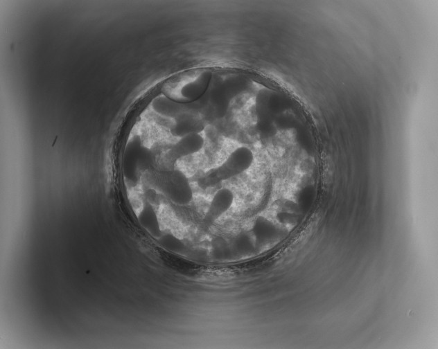 X0000100921215200807221109