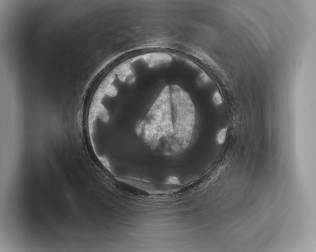 X0000100921216200807221109