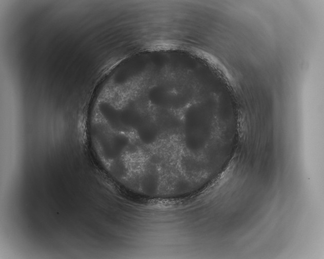 X0000100921217200807221109
