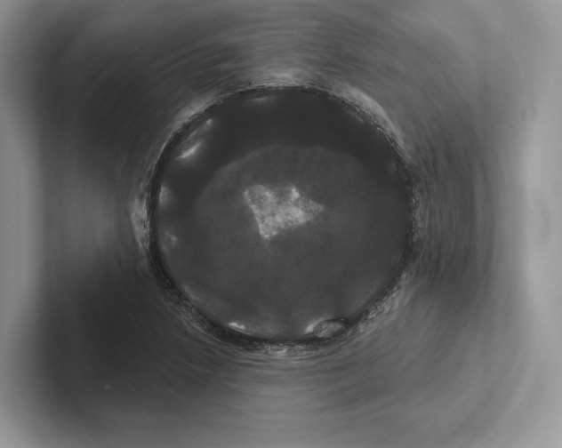 X0000100921218200807221109