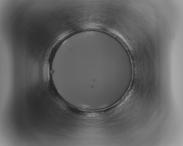 X0000100921219200807221109