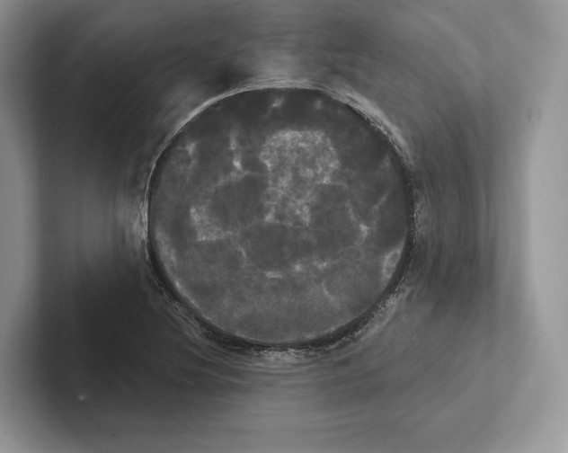X0000100921220200807221109