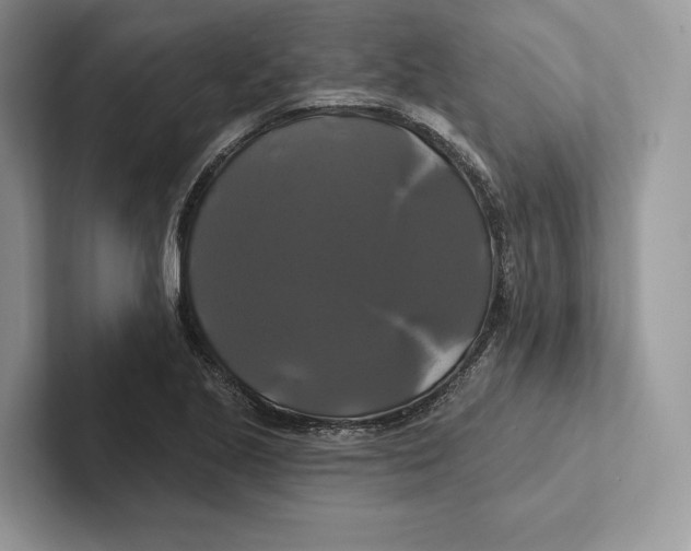 X0000100921221200807221109