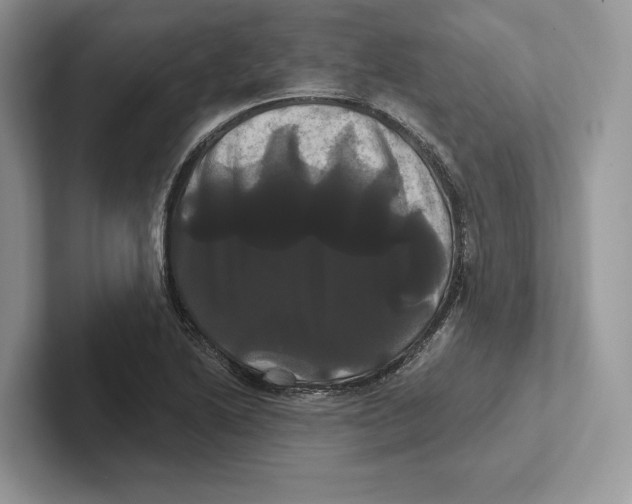 X0000100921222200807221109