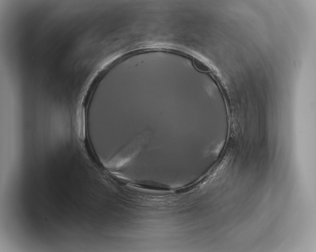 X0000100921223200807221109