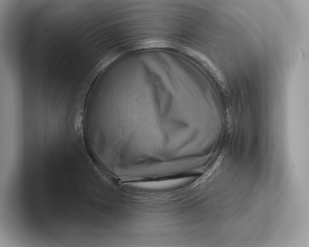 X0000100921225200807221109