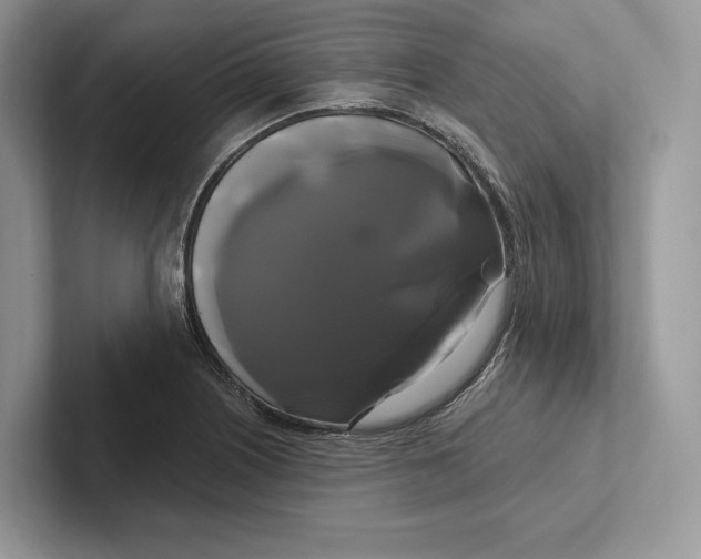 X0000100921226200807221109