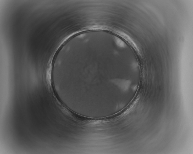 X0000100921228200807221109