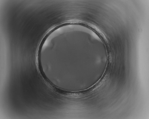 X0000100921229200807221109