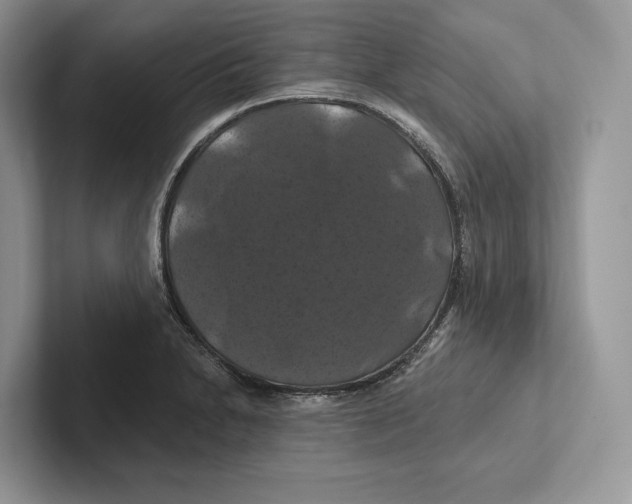 X0000100921230200807221109