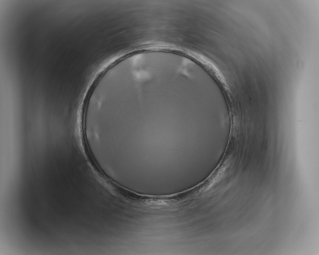 X0000100921231200807221109