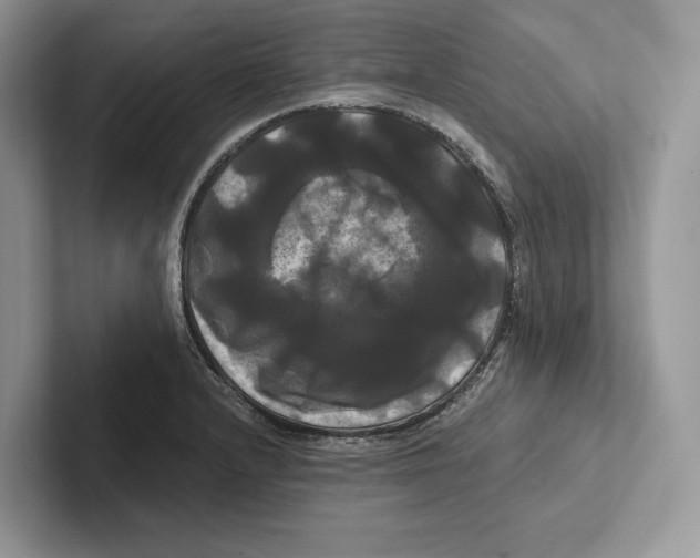 X0000100921232200807221109