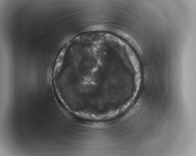 X0000100921233200807221109