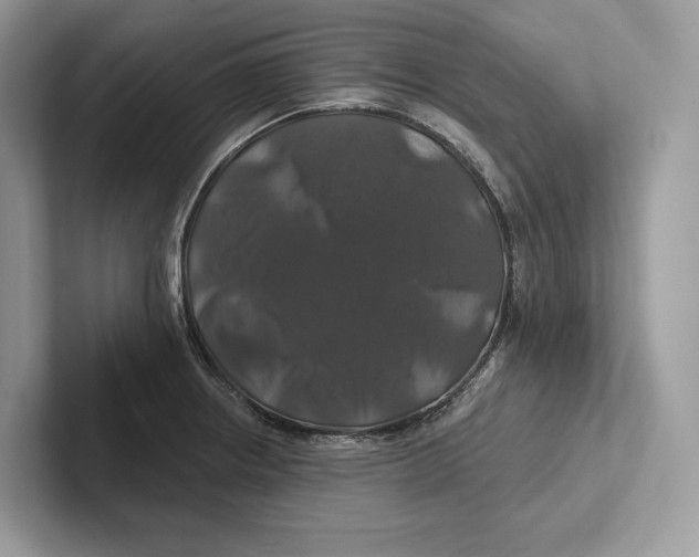 X0000100921234200807221109