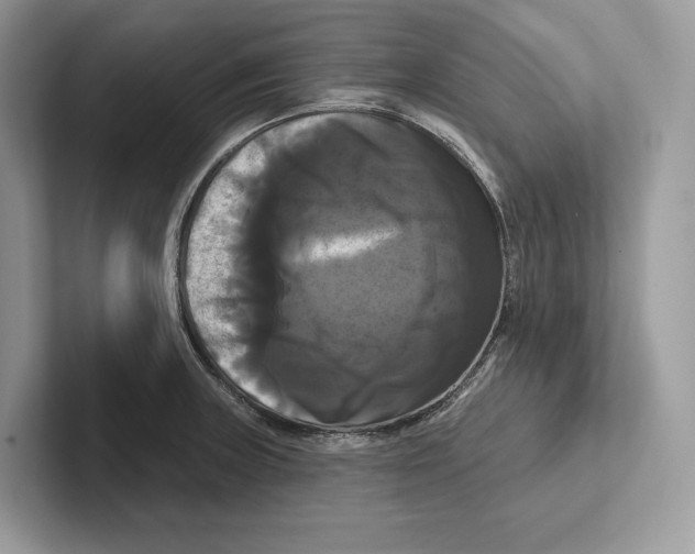 X0000100921235200807221109
