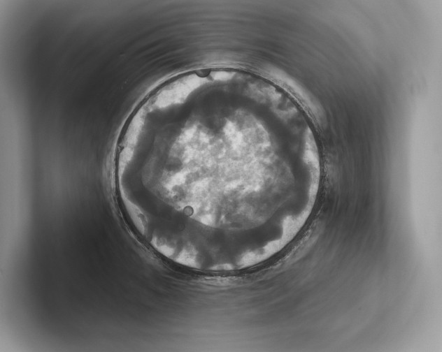 X0000100921236200807221109