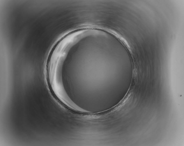 X0000100921239200807221109