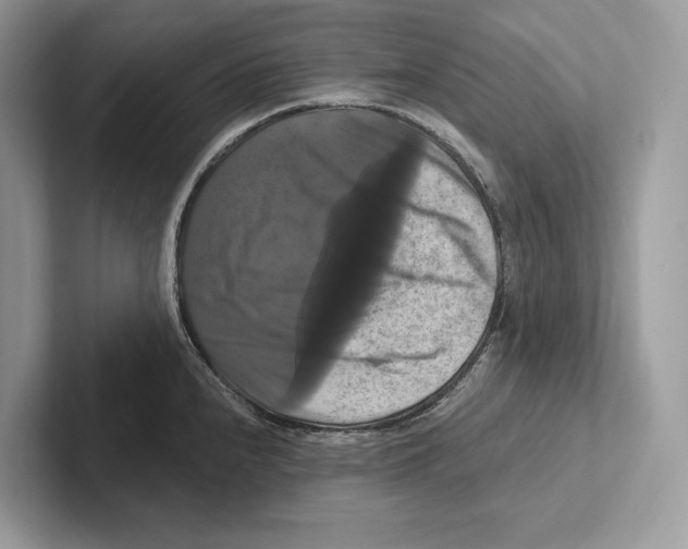 X0000100921240200807221109