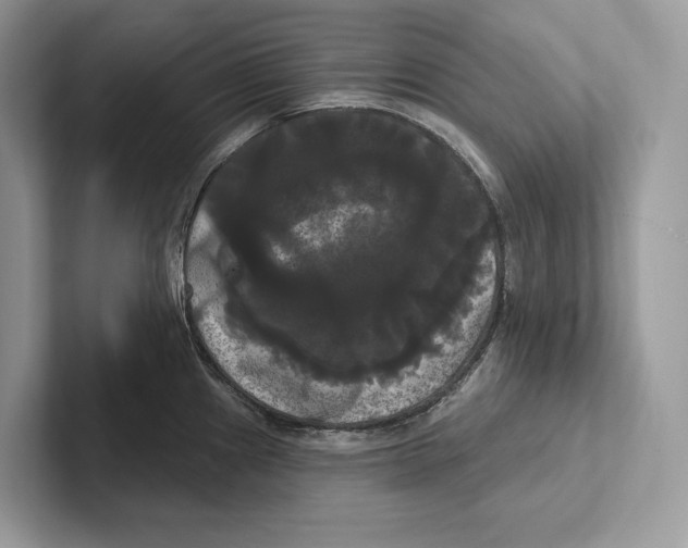 X0000100921241200807221109