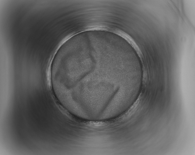 X0000100921242200807221109