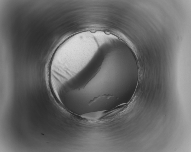 X0000100921243200807221109