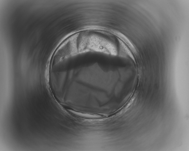 X0000100921244200807221109