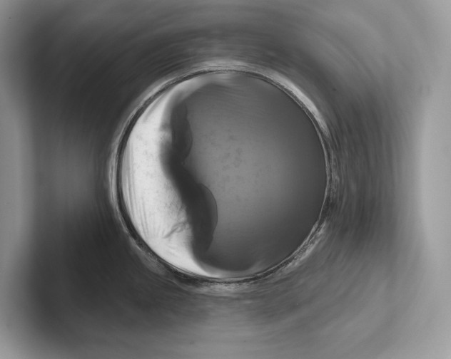 X0000100921245200807221109