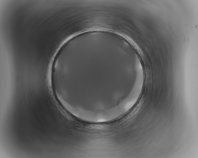 X0000100921246200807221109