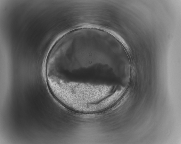 X0000100921247200807221109