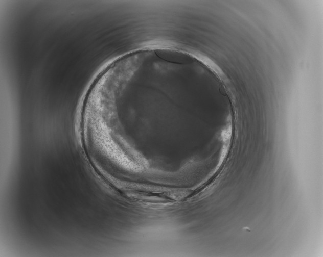 X0000100921248200807221109