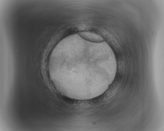 X0000100921249200807221108