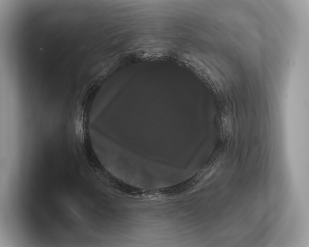 X0000100921250200807221108
